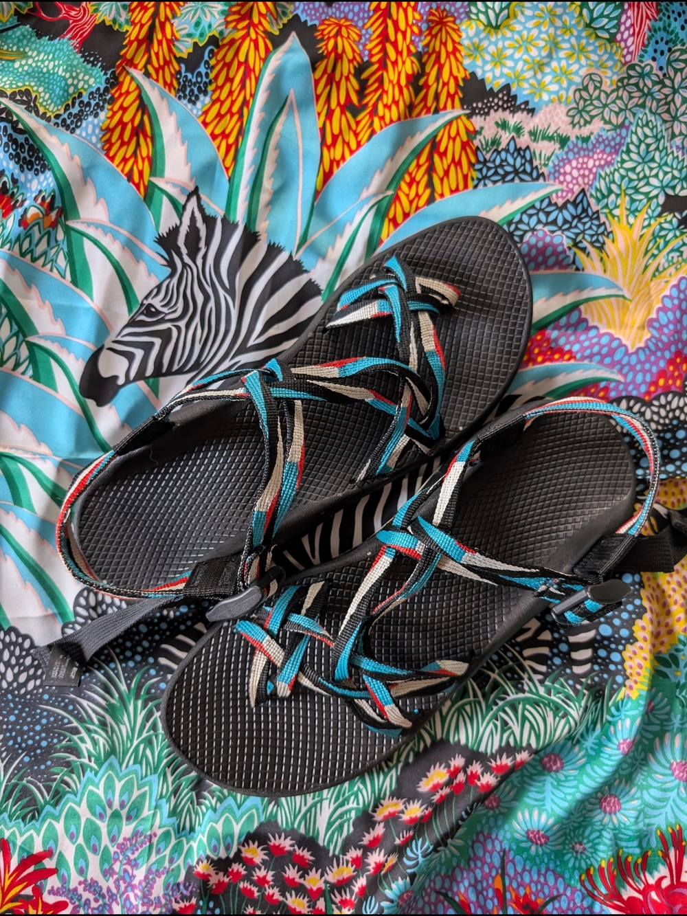Women's Z/Cloud X2 Sandals - Point Teal SZ 12